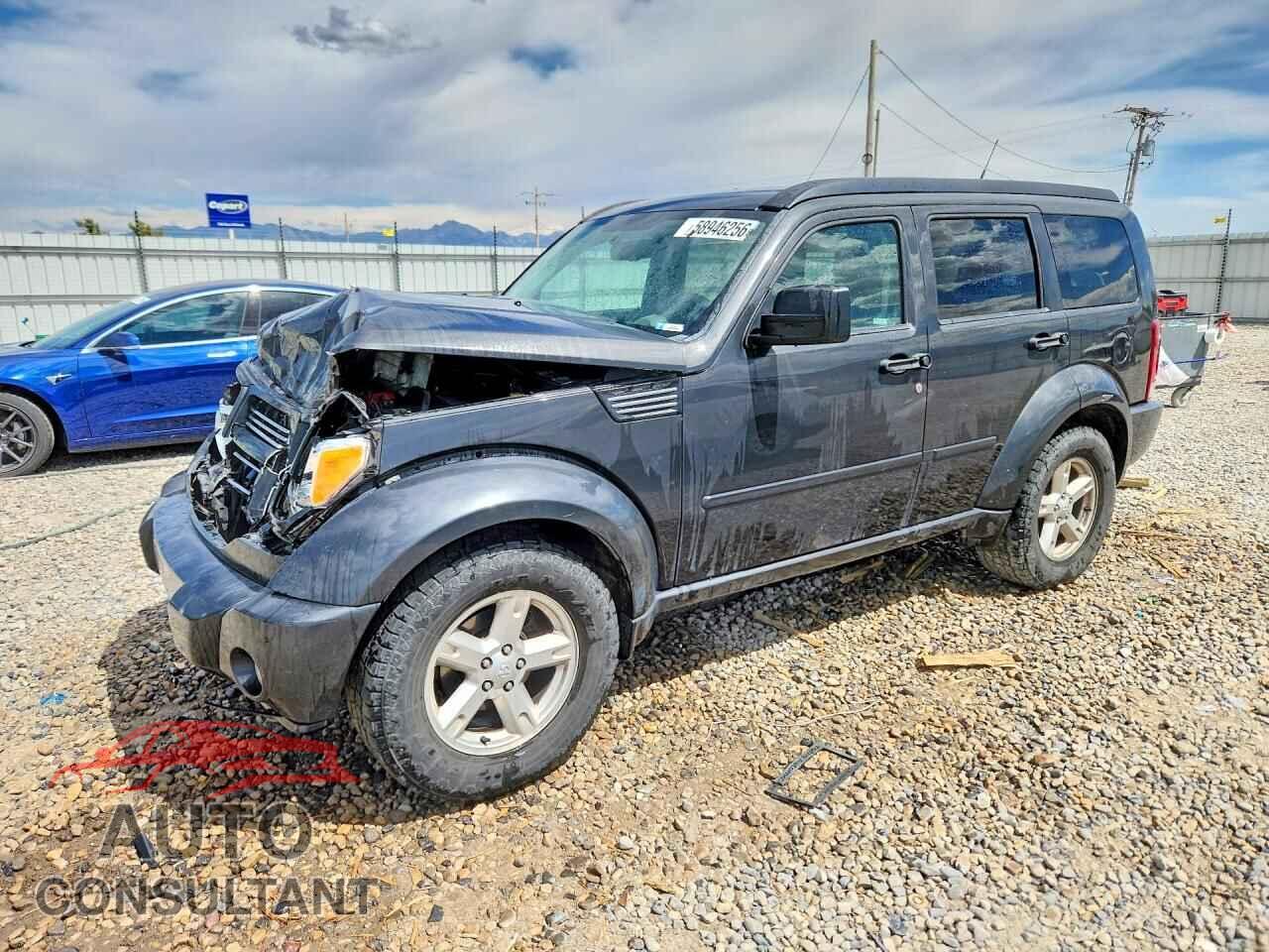 DODGE NITRO 2011 - 1D4PU5GKXBW544337