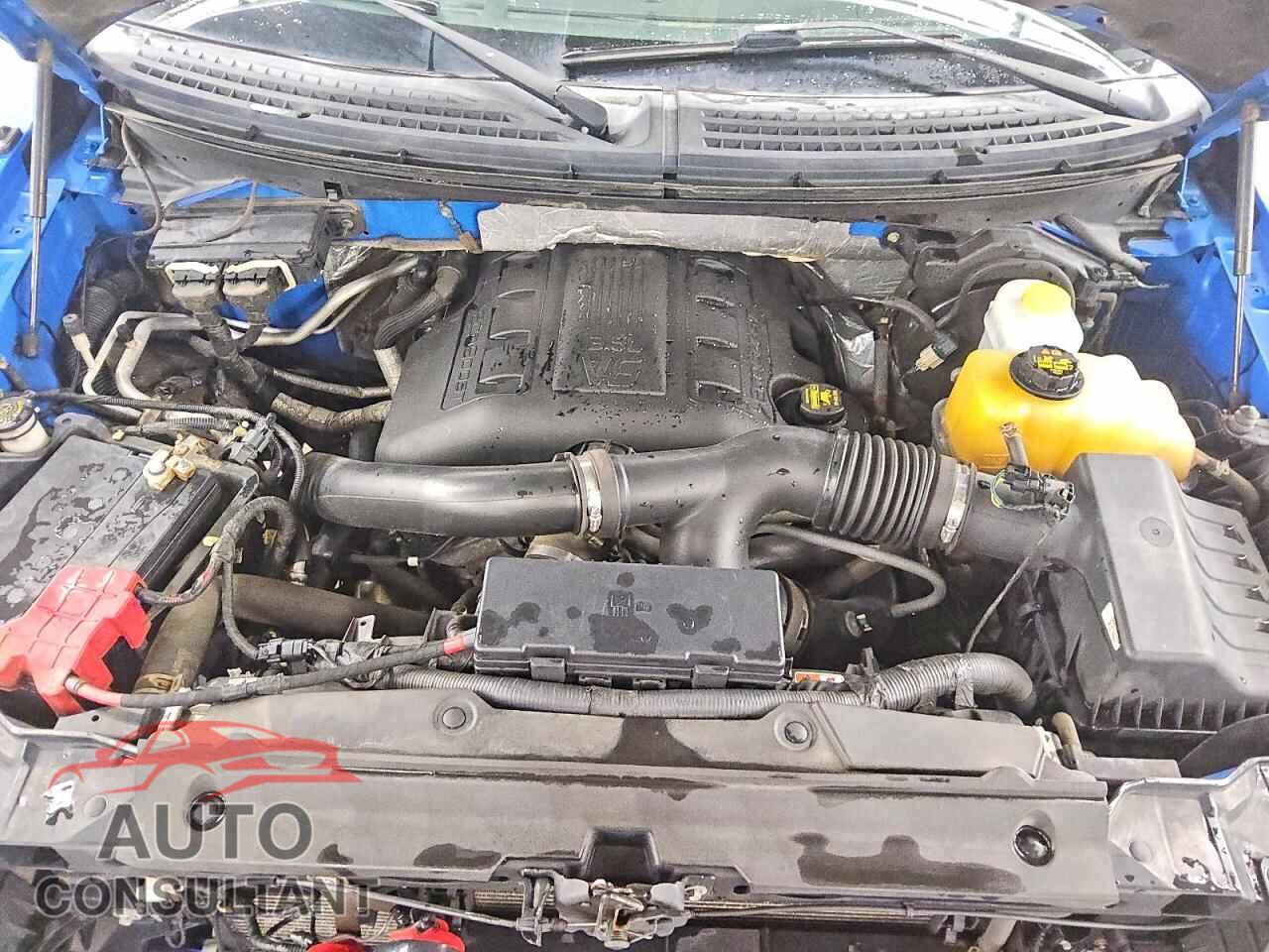 FORD F150 2013 - 1FTFW1ET8DFD65093