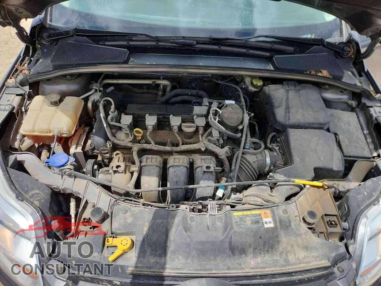 FORD FOCUS 2014 - 1FADP3F23EL218646