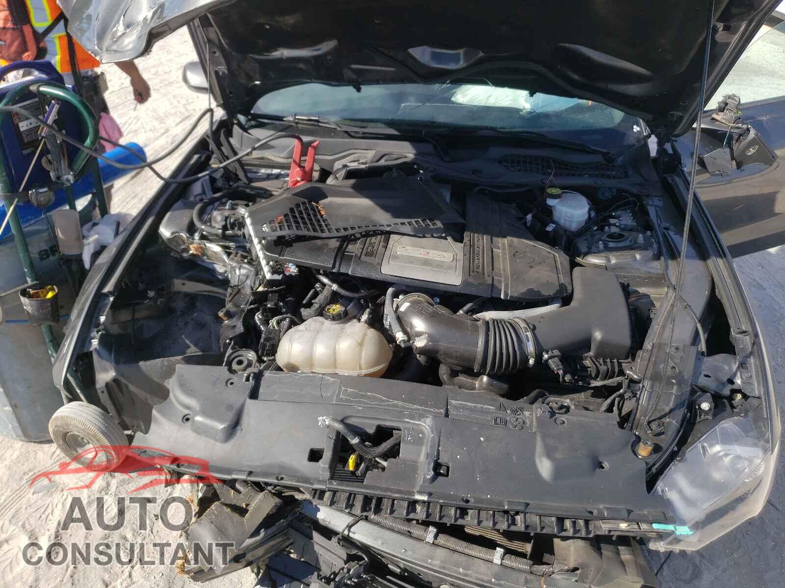 FORD MUSTANG 2019 - 1FA6P8CF9K5151645