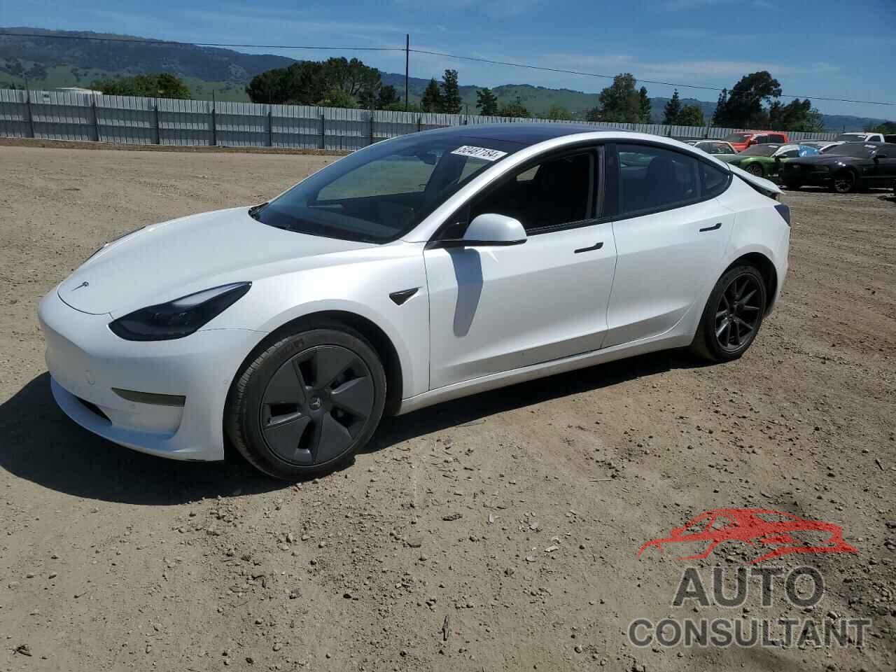 TESLA MODEL 3 2021 - 5YJ3E1EA0MF941493