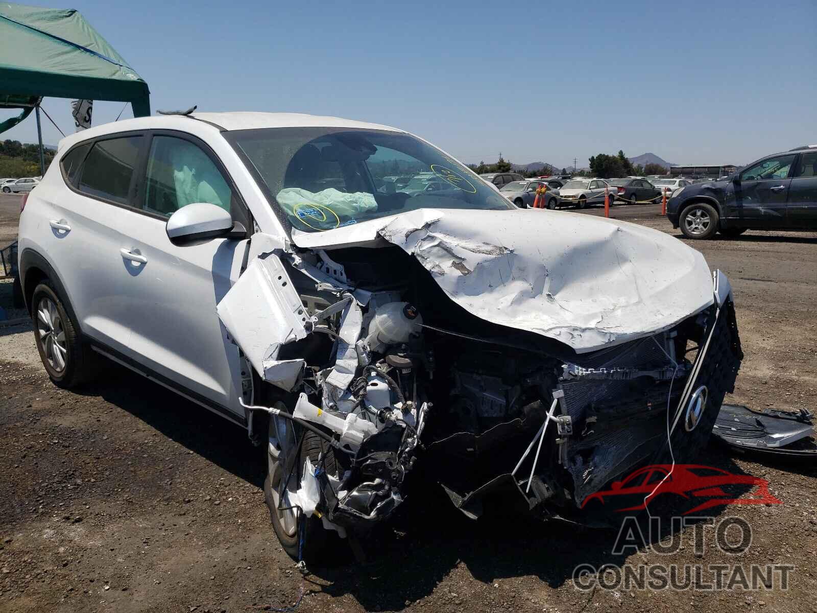 HYUNDAI TUCSON 2019 - KM8J23A44KU018316