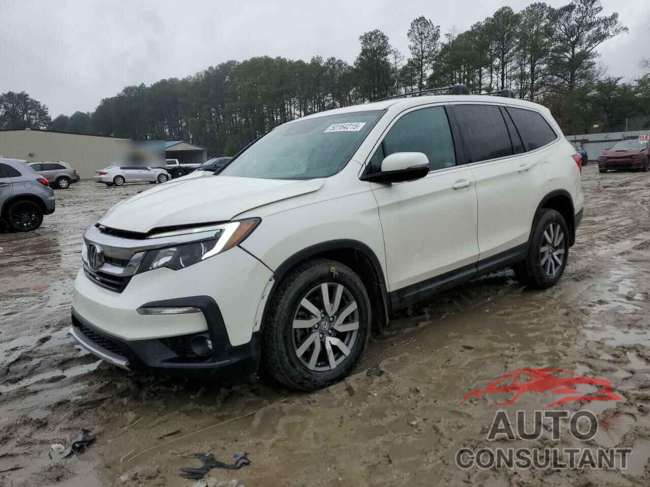 HONDA PILOT 2019 - 5FNYF6H52KB065926