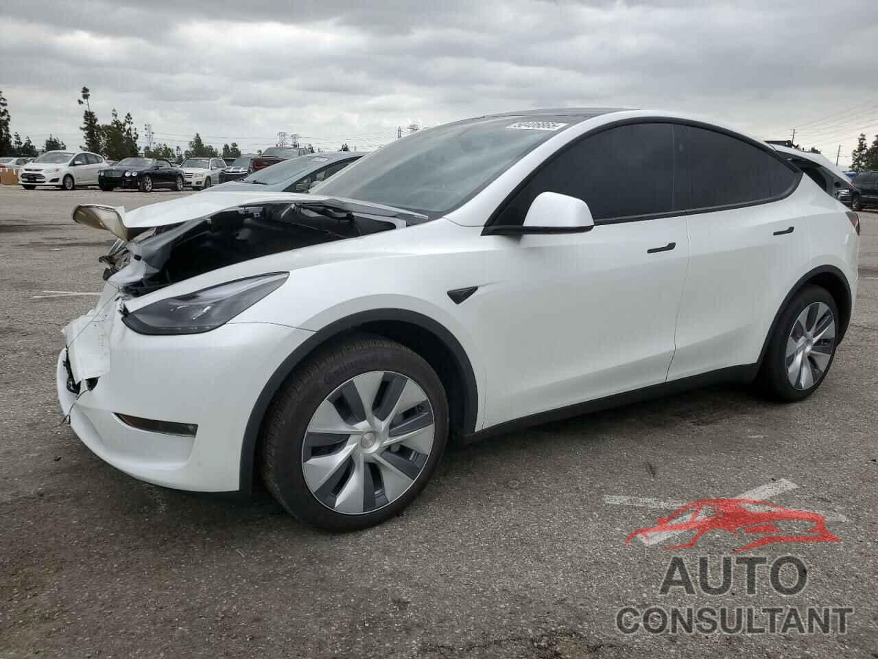TESLA MODEL Y 2024 - 7SAYGDEE8RF088808