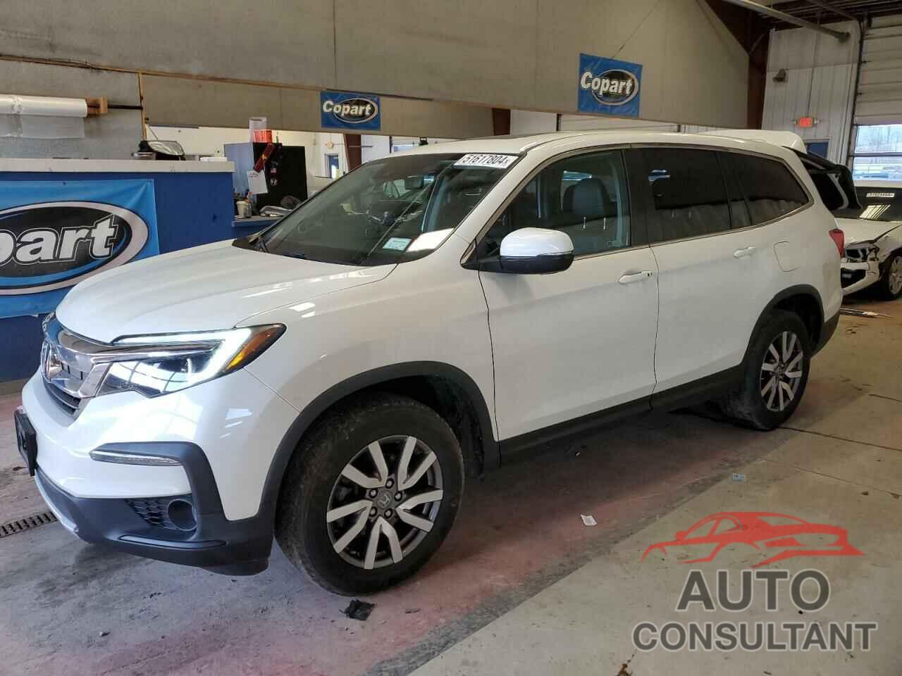 HONDA PILOT 2019 - 5FNYF6H51KB009797