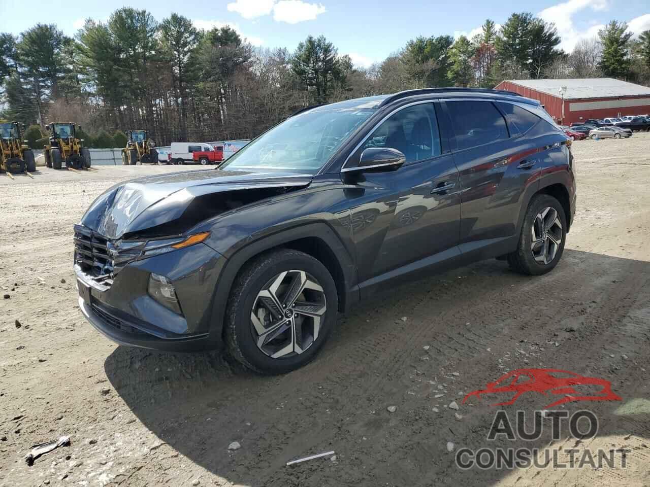 HYUNDAI TUCSON 2023 - 5NMJECAEXPH218832