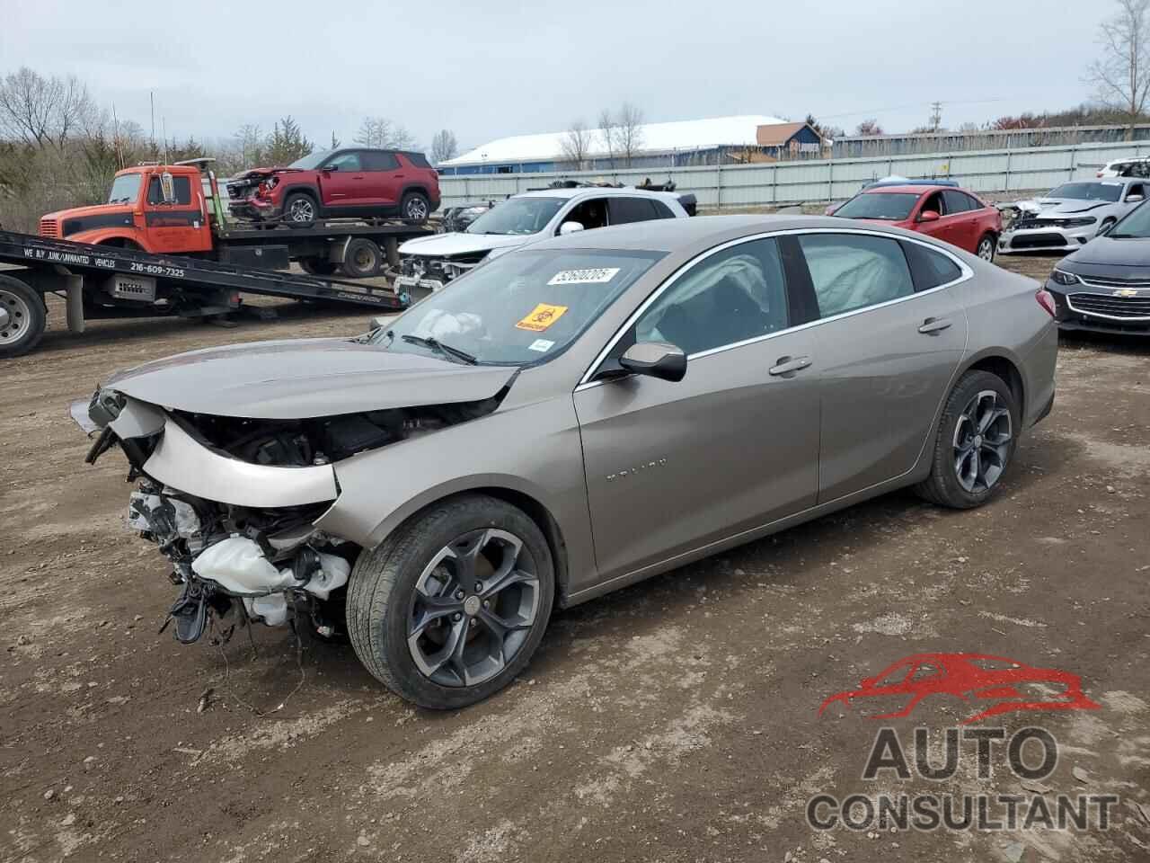 CHEVROLET MALIBU 2022 - 1G1ZD5STXNF184344