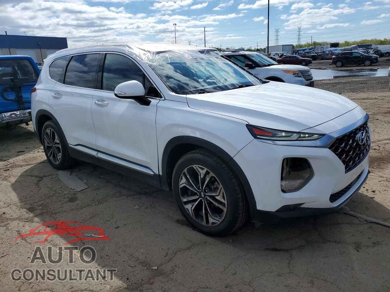 HYUNDAI SANTA FE 2019 - 5NMS5CAA0KH059717