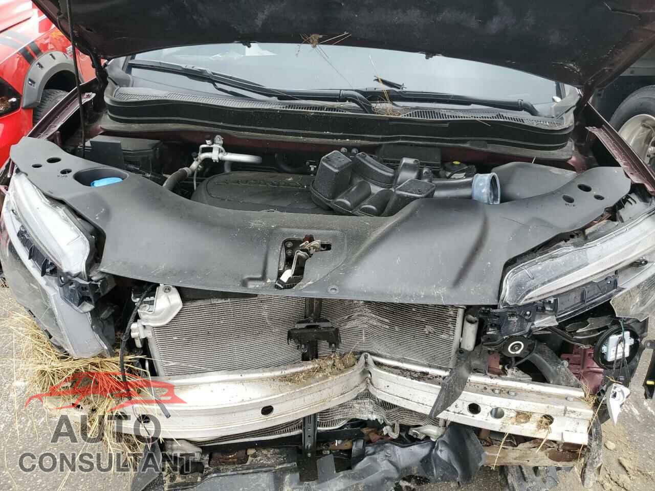 HONDA PILOT 2019 - 5FNYF6H15KB031069