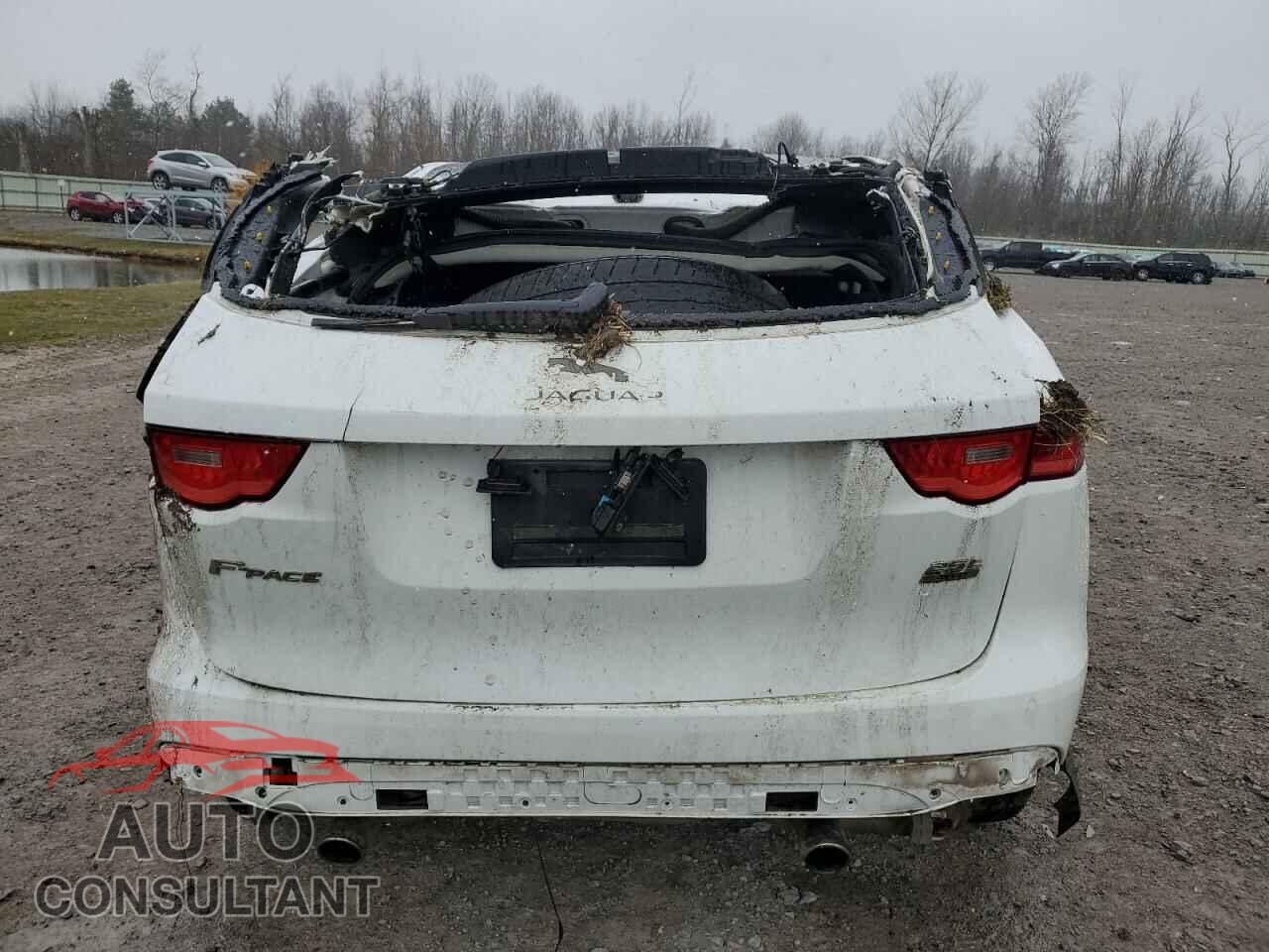 JAGUAR F-PACE 2018 - SADCS2FX9JA251820