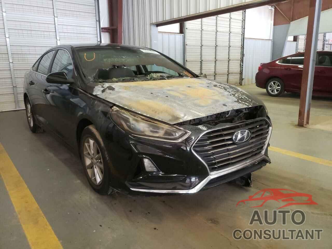 HYUNDAI SONATA 2019 - 5NPE24AF7KH768672