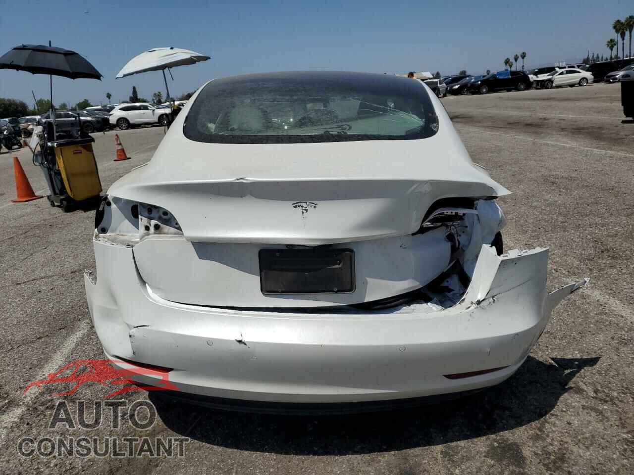 TESLA MODEL 3 2021 - 5YJ3E1EA3MF031305