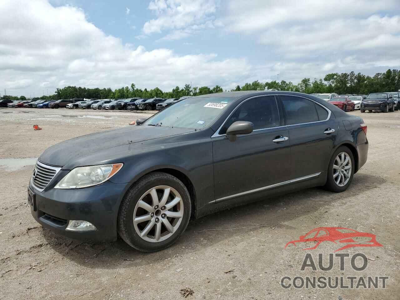 LEXUS LS460 2009 - JTHBL46F695084665