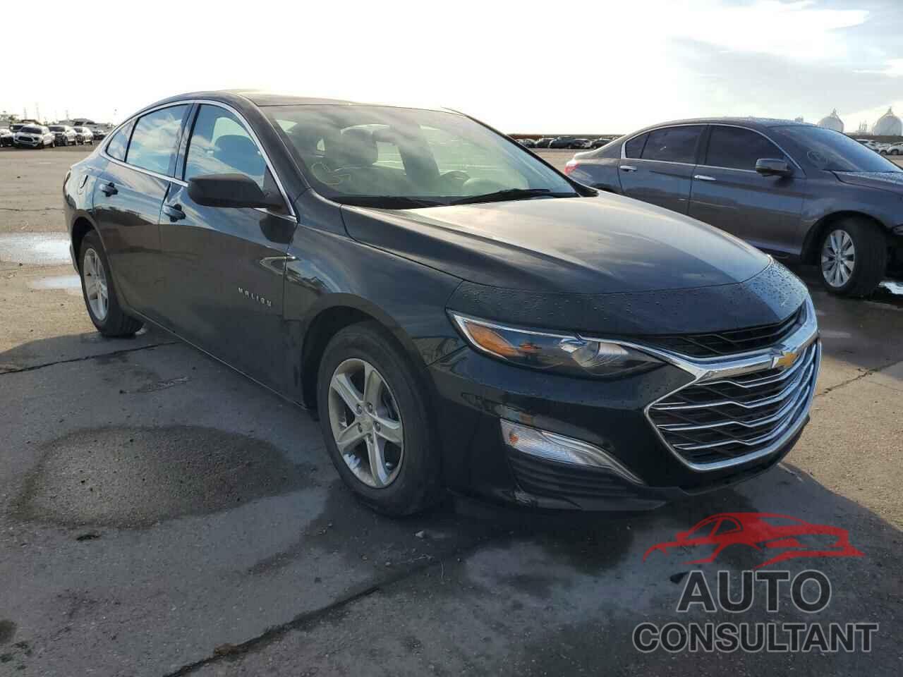 CHEVROLET MALIBU 2019 - 1G1ZB5ST4KF227867