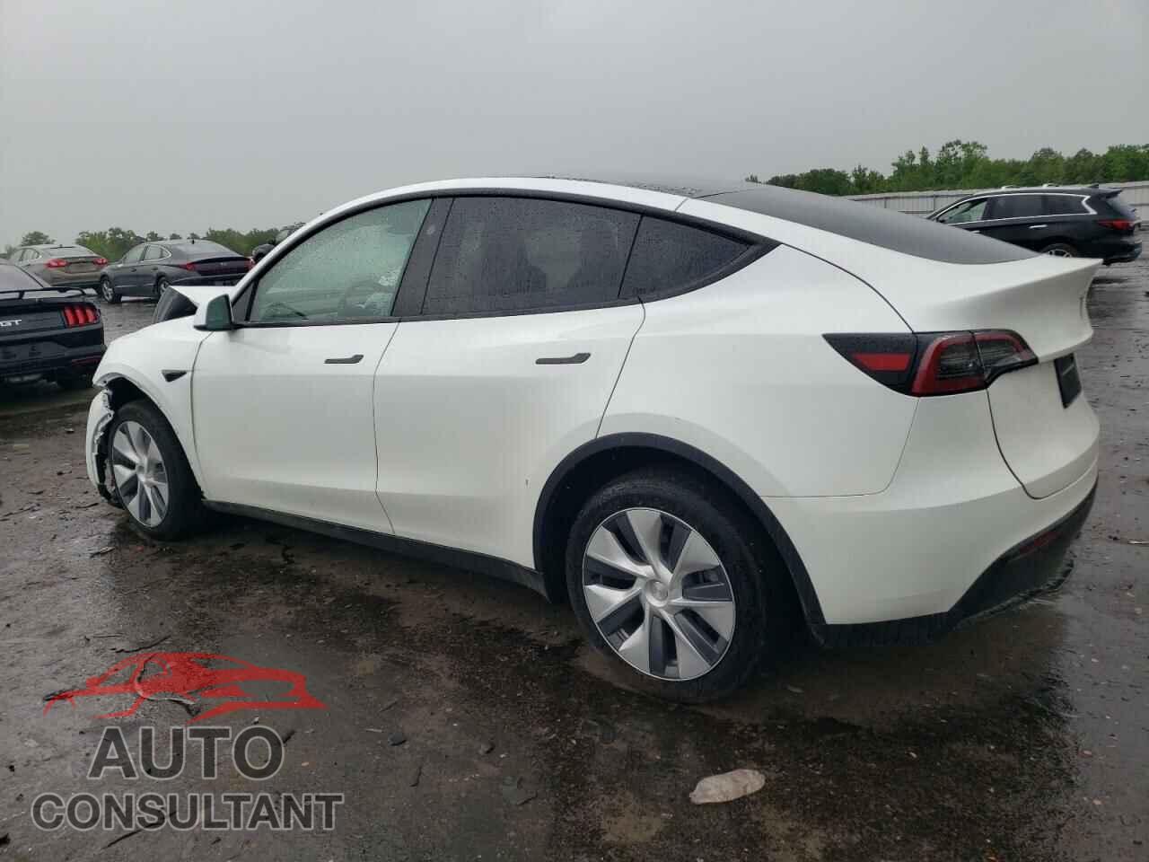 TESLA MODEL Y 2024 - 7SAYGDEEXRF995883