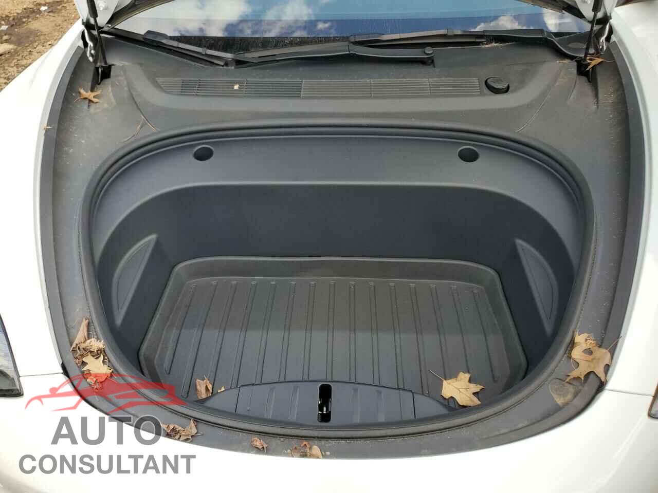 TESLA MODEL 3 2022 - 5YJ3E1EA7NF302061