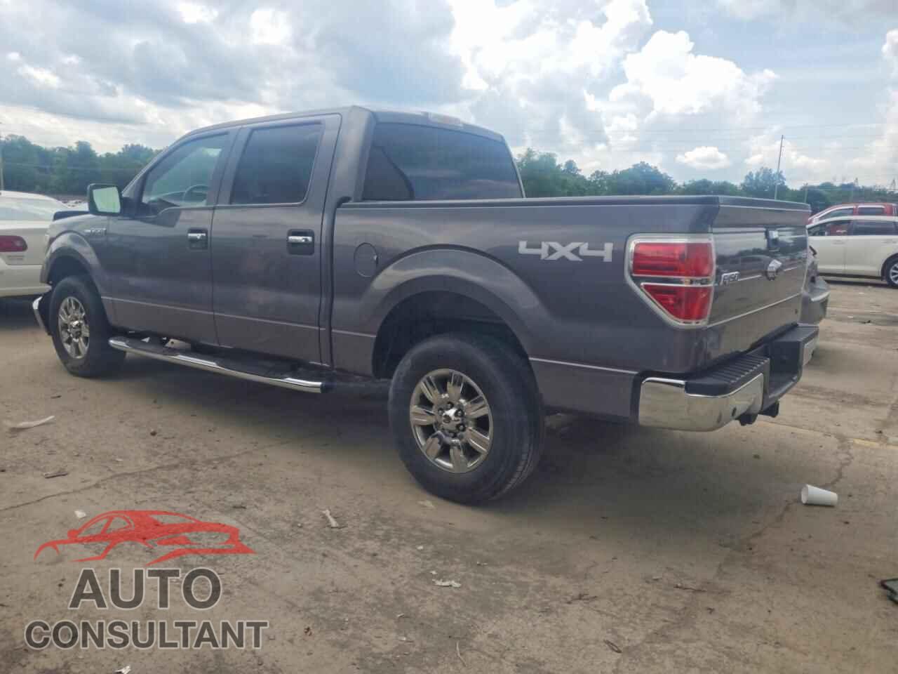 FORD F150 2010 - 1FTFW1EV4AKA23578