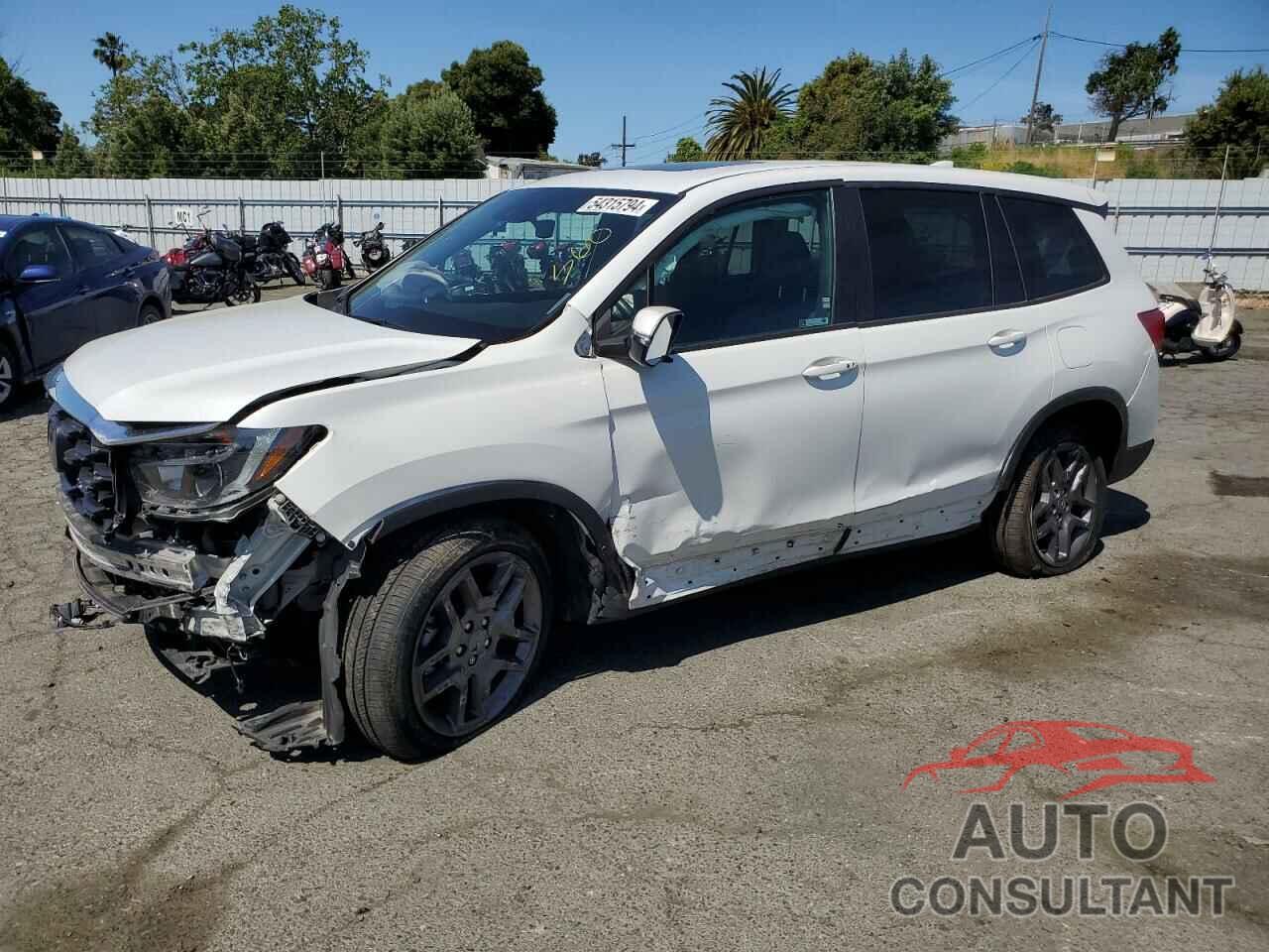 HONDA PASSPORT 2022 - 5FNYF8H52NB005628