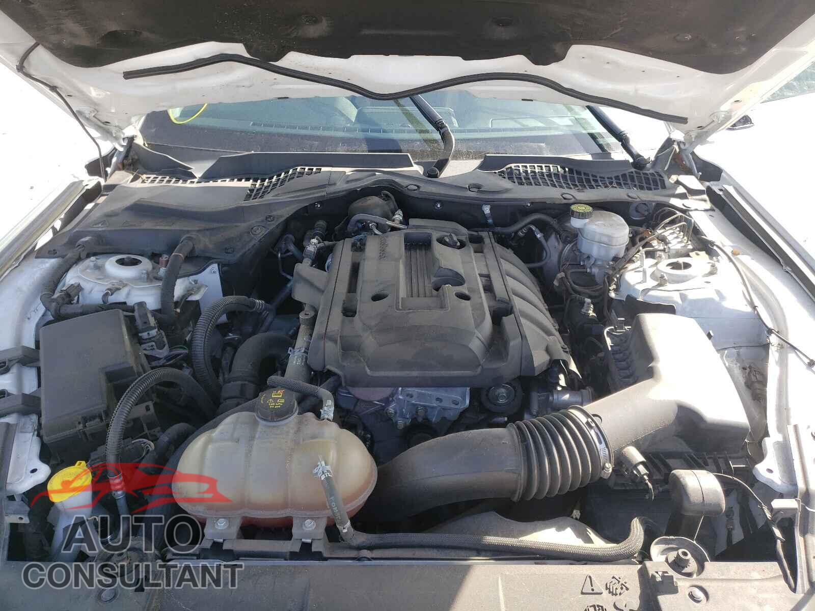 FORD MUSTANG 2019 - 1FA6P8TH8K5168390