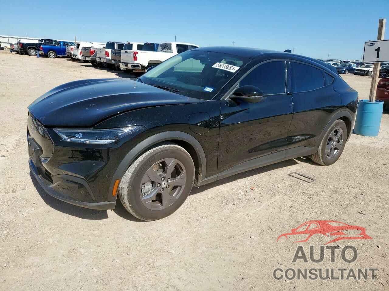 FORD MUSTANG 2023 - 3FMTK1R4XPMA86651