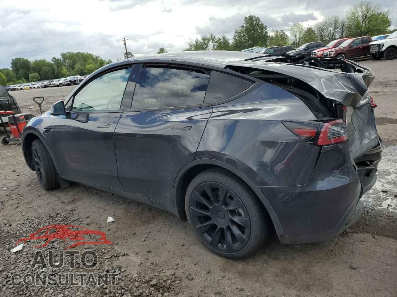 TESLA MODEL Y 2024 - 7SAYGDED0RF043675
