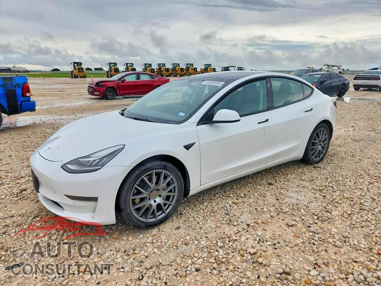 TESLA MODEL 3 2021 - 5YJ3E1EA5MF854821
