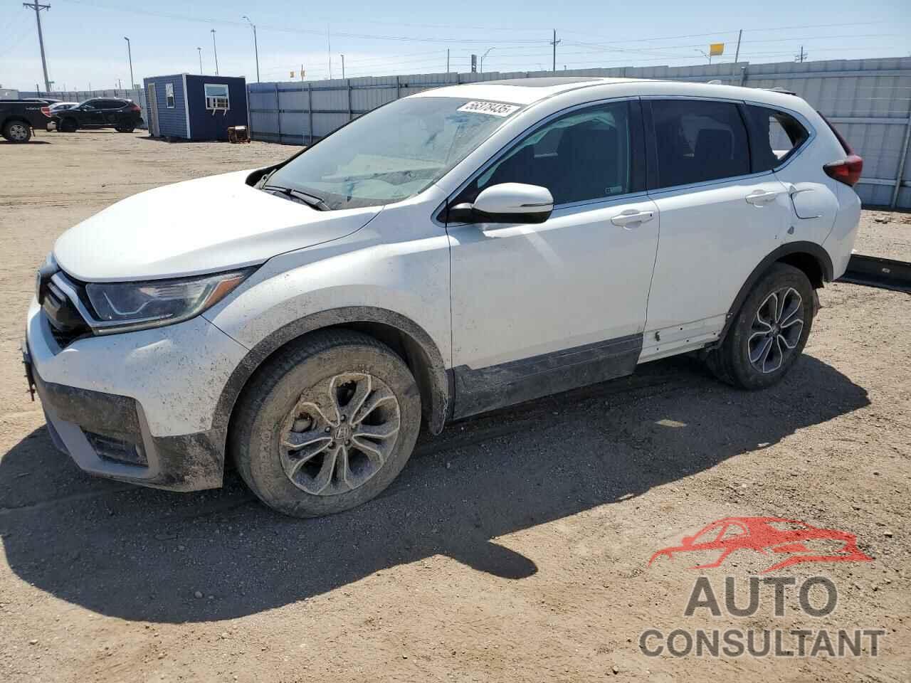 HONDA CRV 2022 - 2HKRW2H83NH621593