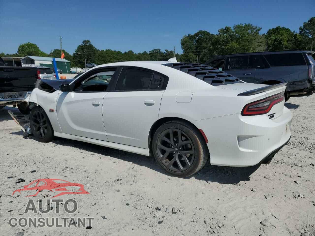 DODGE CHARGER 2019 - 2C3CDXCT5KH666046