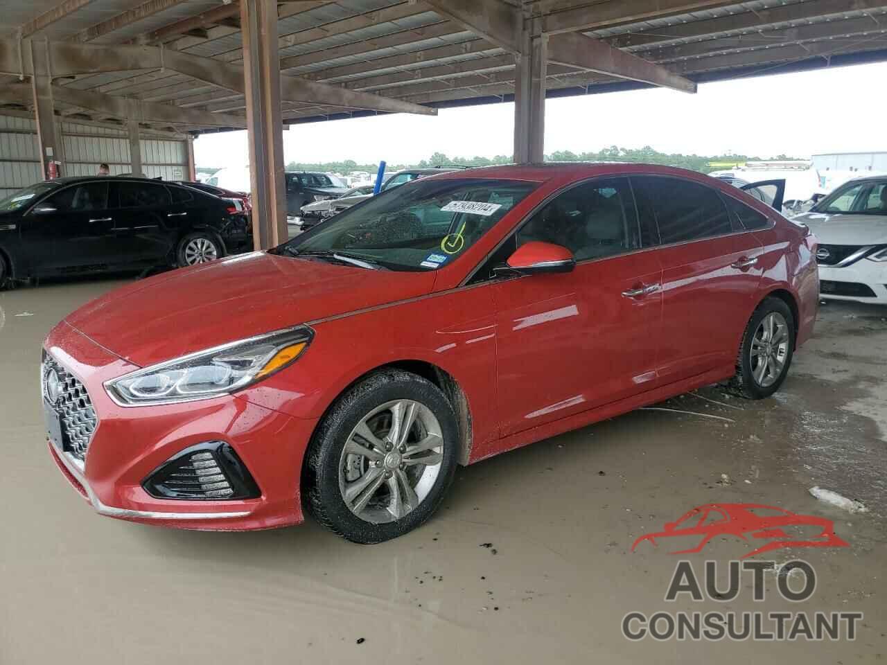 HYUNDAI SONATA 2019 - 5NPE34AF2KH811585