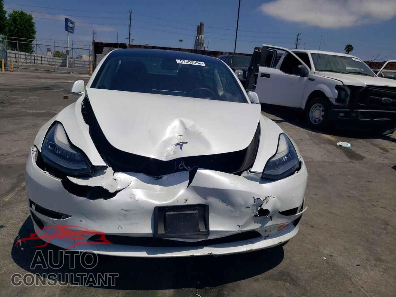 TESLA MODEL 3 2019 - 5YJ3E1EA2KF483601