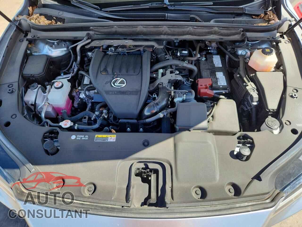 LEXUS RX350 2023 - 2T2BAMBA0PC019761