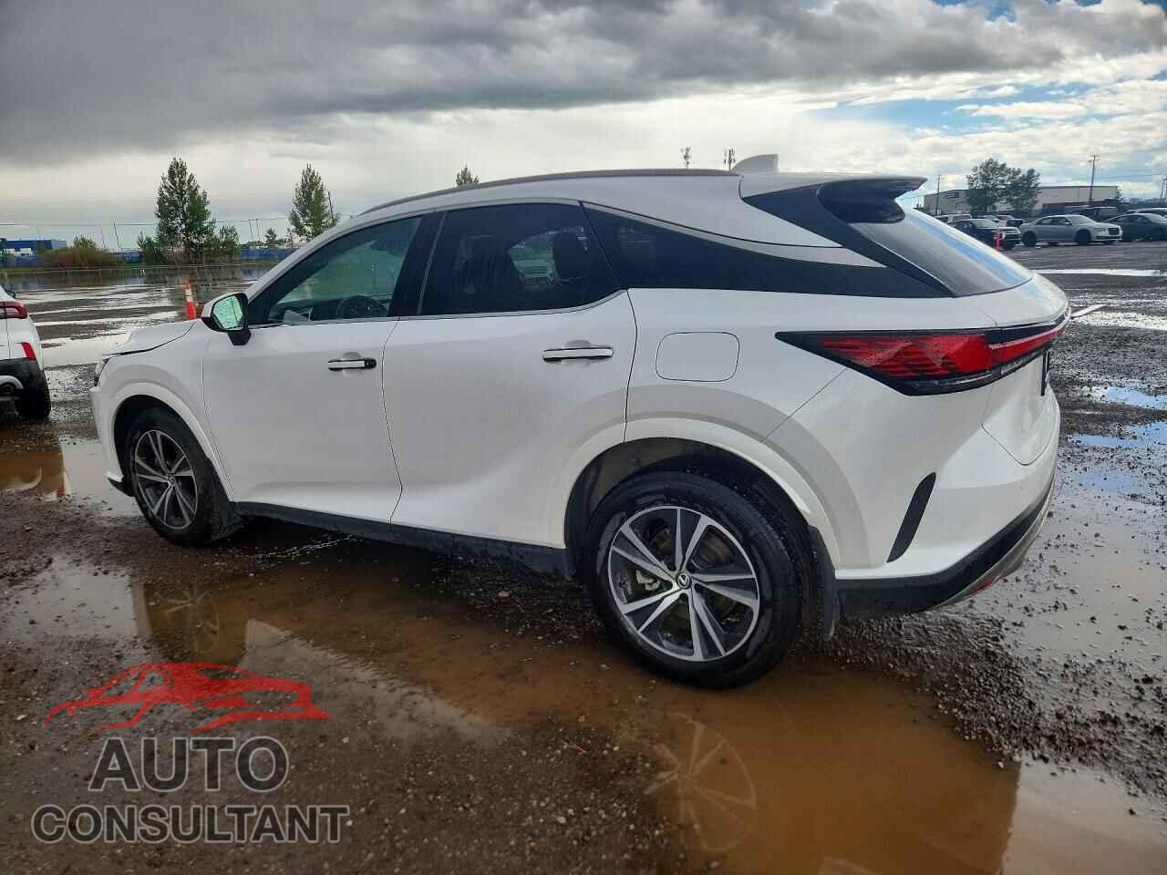 LEXUS RX300 2025 - 2T2BAMCA6SC106409