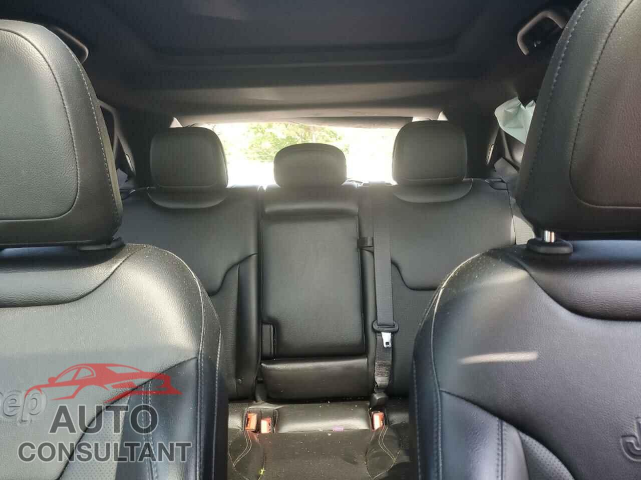 JEEP COMPASS 2020 - 3C4NJDCB9LT244390
