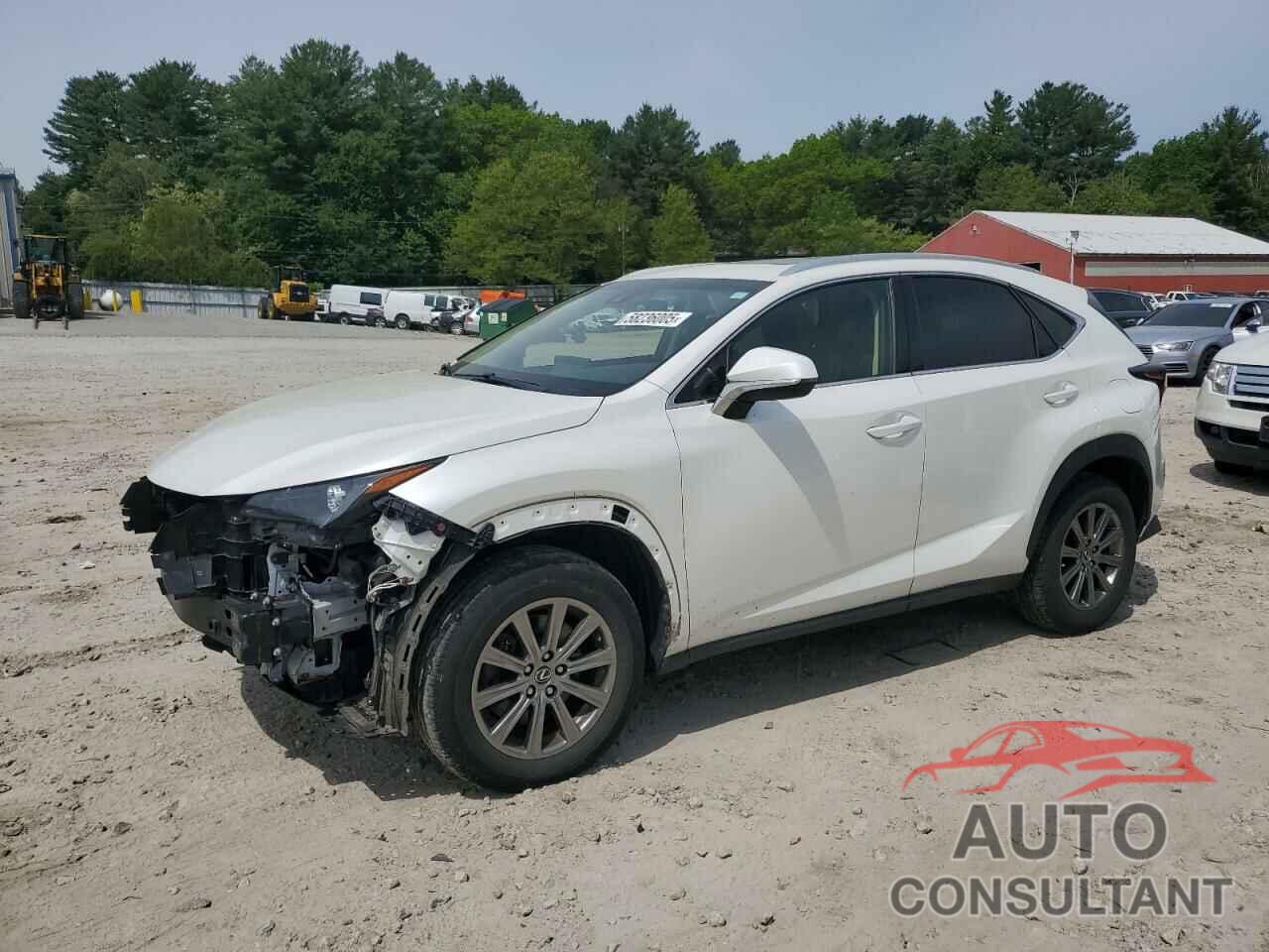 LEXUS NX 2019 - JTJBARBZ2K2179846