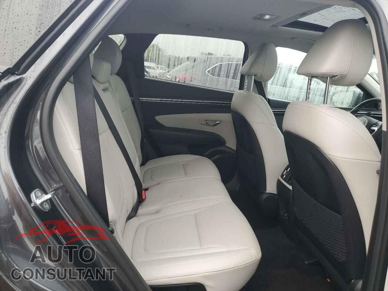 HYUNDAI TUCSON 2023 - 5NMJFCAE1PH164687
