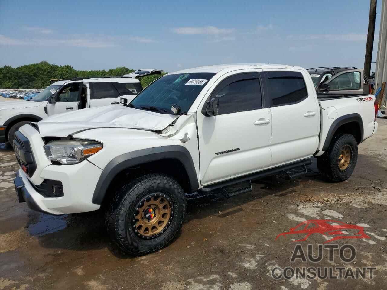 TOYOTA TACOMA 2019 - 3TMCZ5AN5KM200608