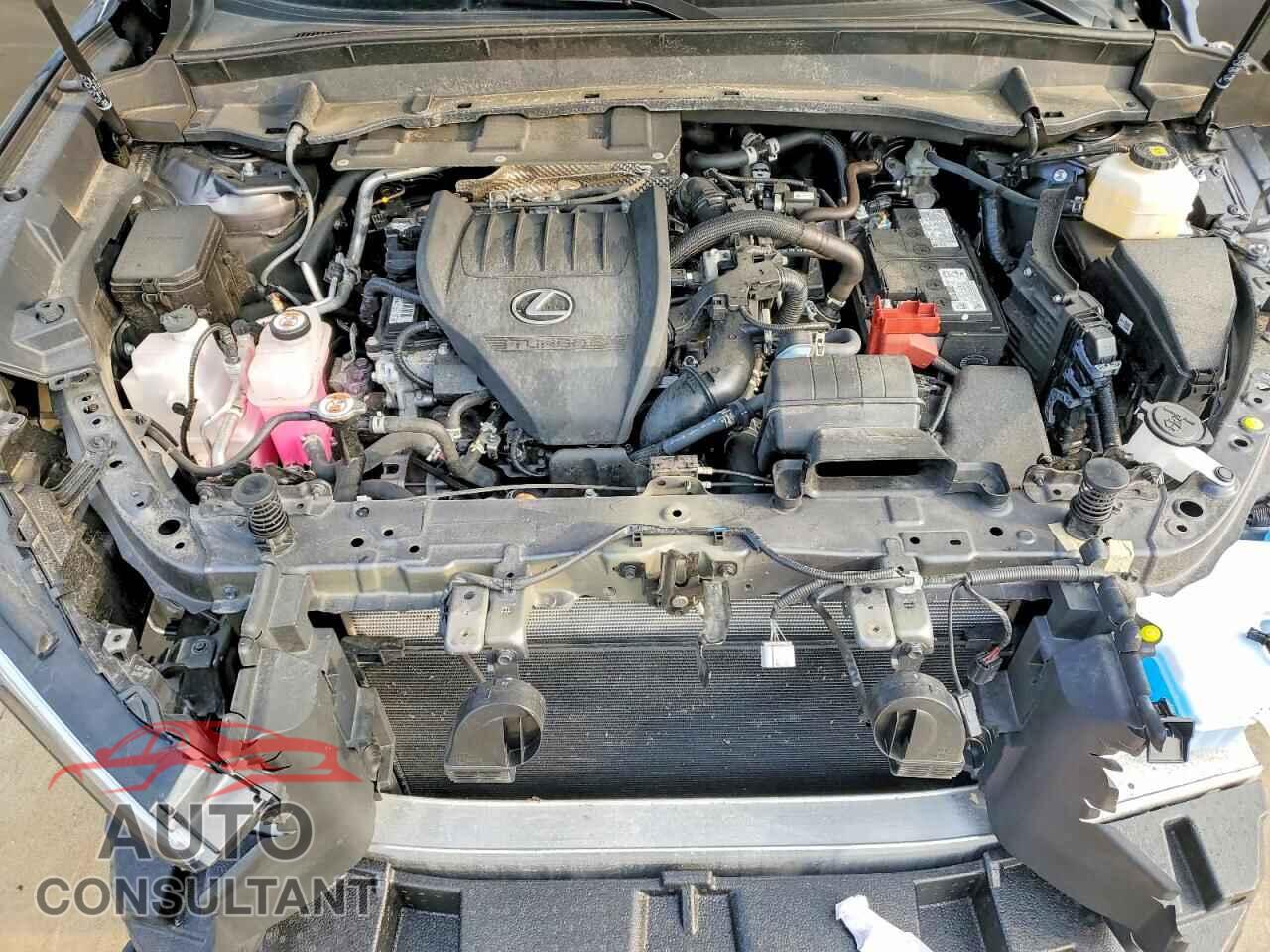 LEXUS UNKNOWN 2025 - 5TDAAAB65SS025436
