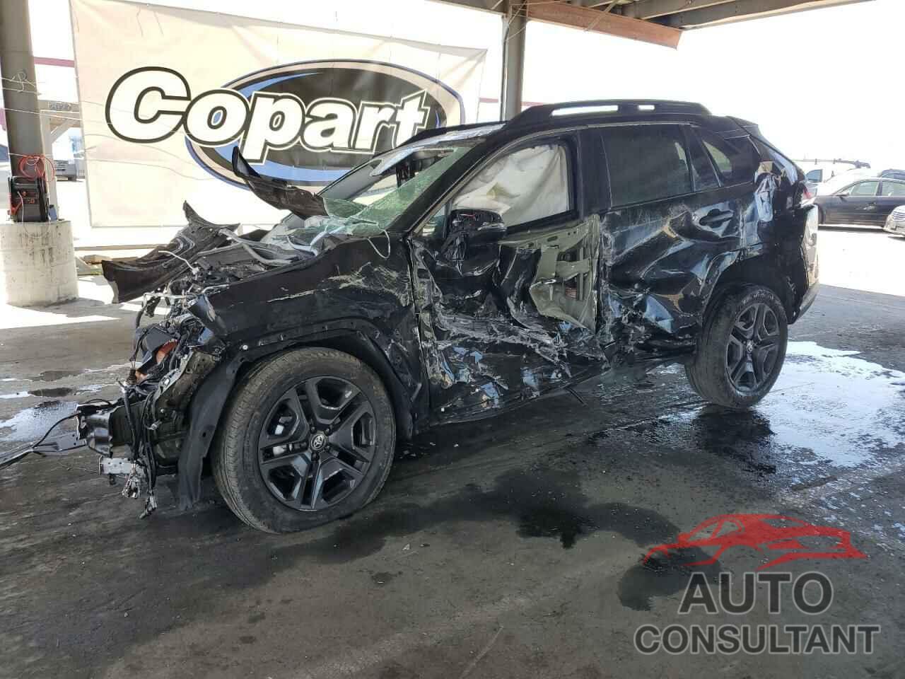 TOYOTA RAV4 2024 - 2T3J1RFV8RW463330