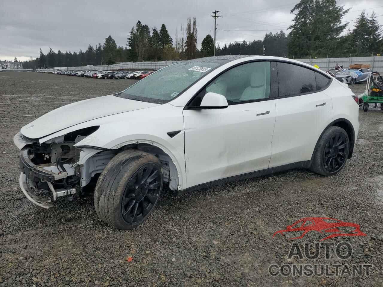 TESLA MODEL Y 2021 - 5YJYGDEE1MF304018