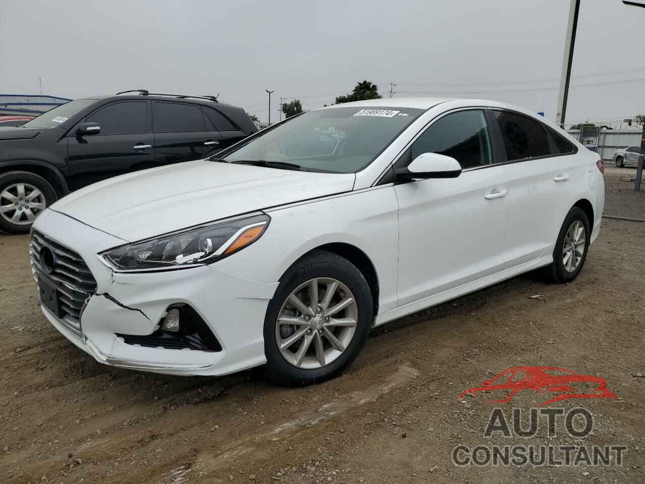 HYUNDAI SONATA 2019 - 5NPE24AF5KH792436