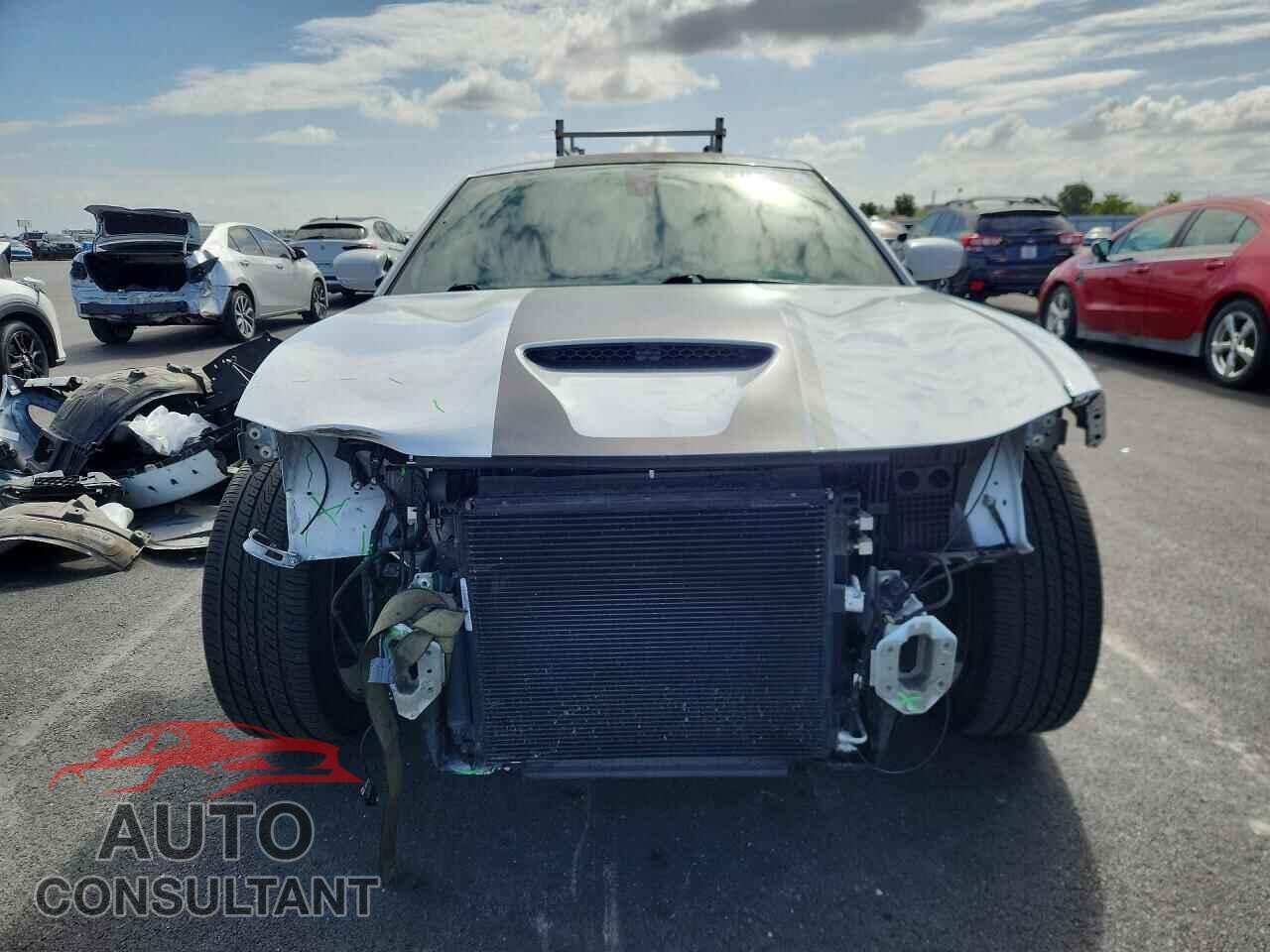 DODGE CHARGER 2019 - 2C3CDXHGXKH710568