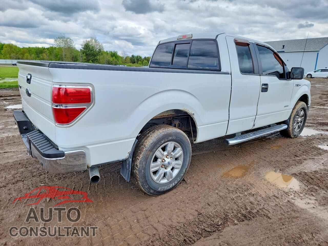 FORD F150 2012 - 1FTFX1ET1CFA55203