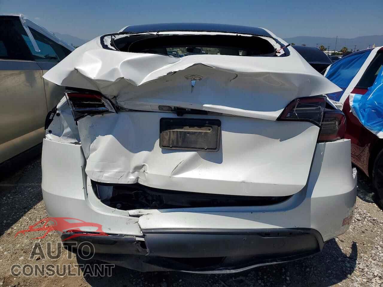 TESLA MODEL Y 2024 - 7SAYGDED6RF095408