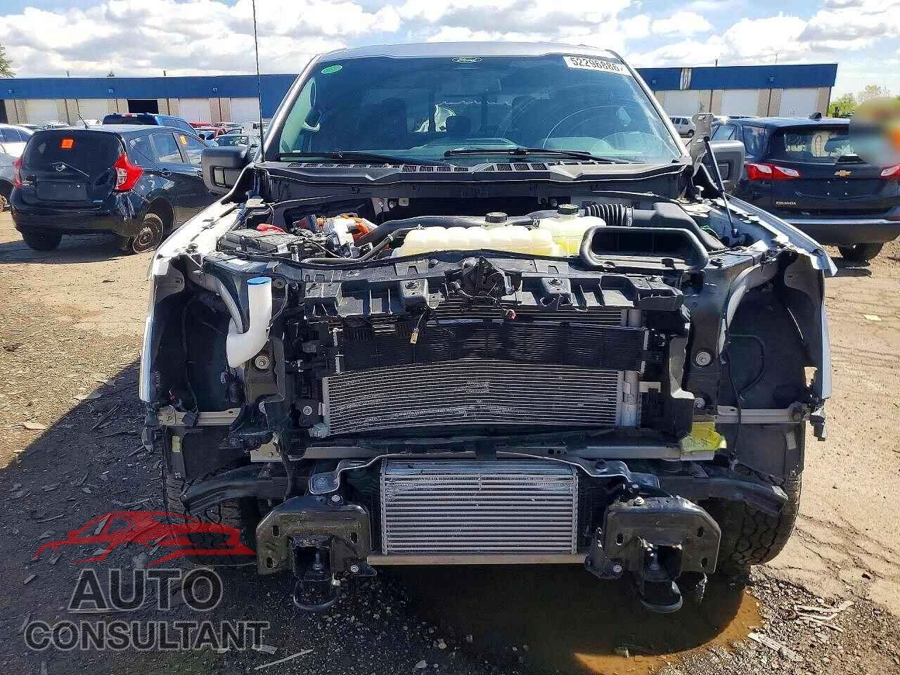 FORD F150 2025 - 1FTFW3LD2SFA76117