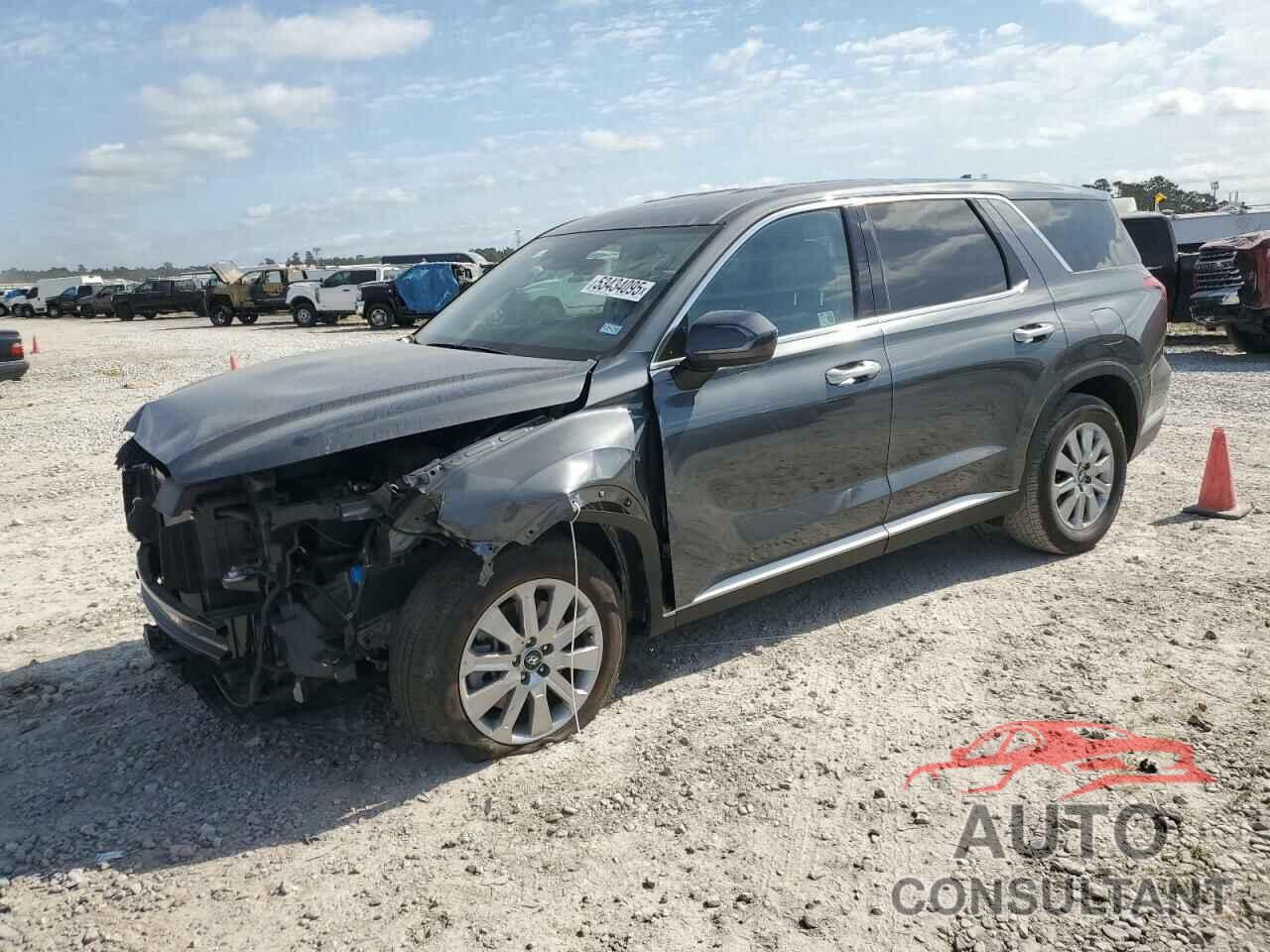 HYUNDAI PALISADE 2025 - KM8R14GE8SU870874