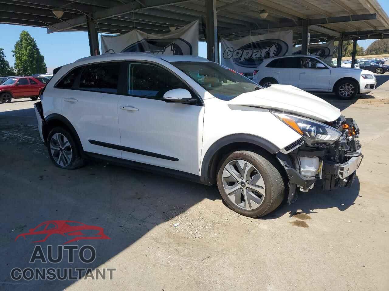 KIA UNKNOWN 2022 - KNDCC3LG4N5116830