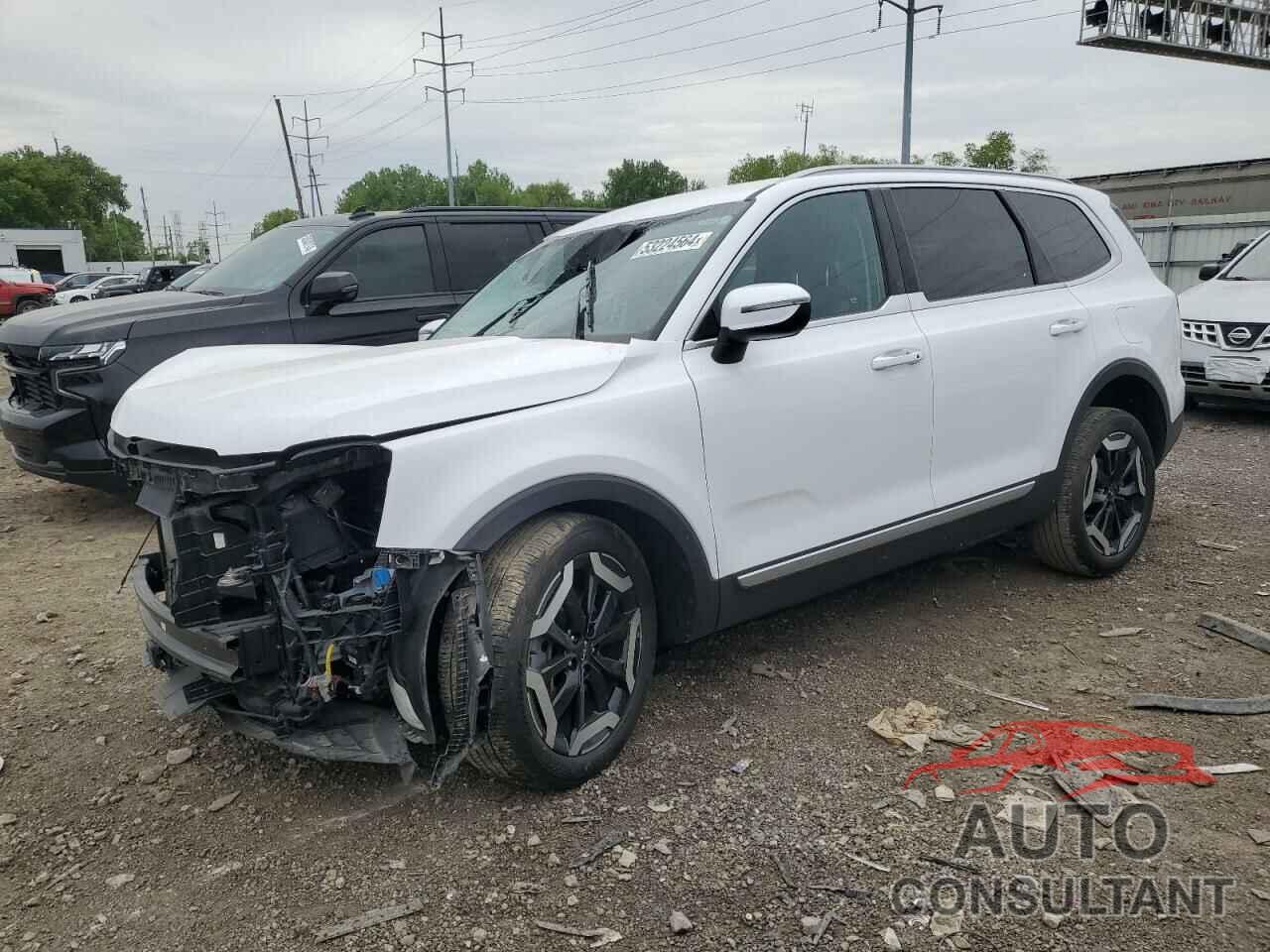 KIA TELLURIDE 2024 - 5XYP64GC8RG475794