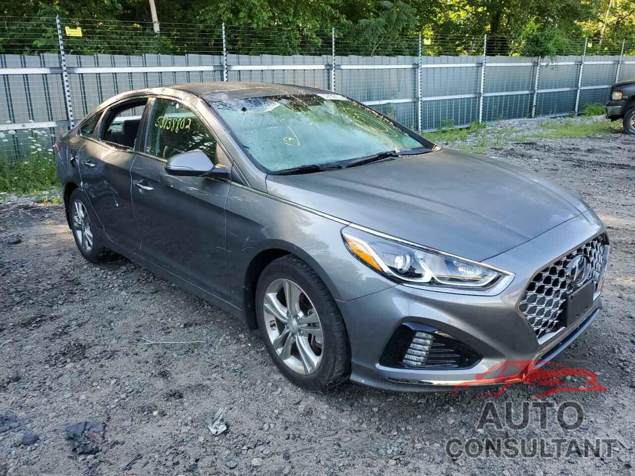 HYUNDAI SONATA 2019 - 5NPE34AF4KH809286