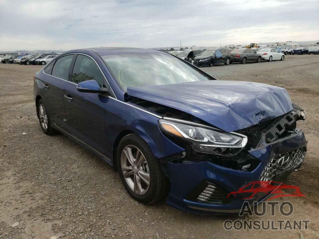 HYUNDAI SONATA 2019 - 5NPE34AF4KH800104