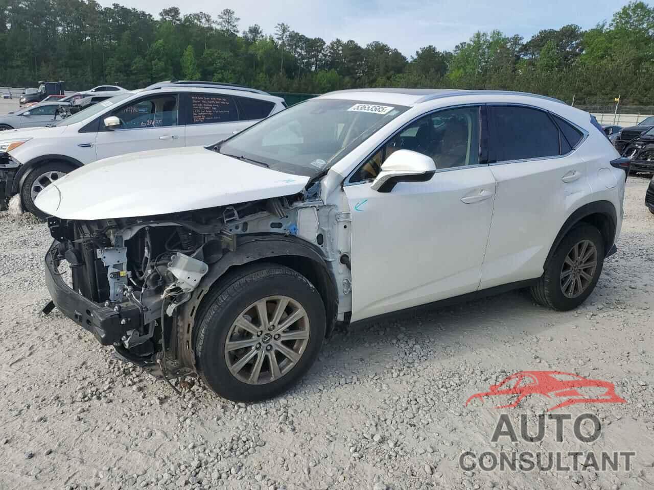 LEXUS NX 2020 - JTJDARBZ3L5013344